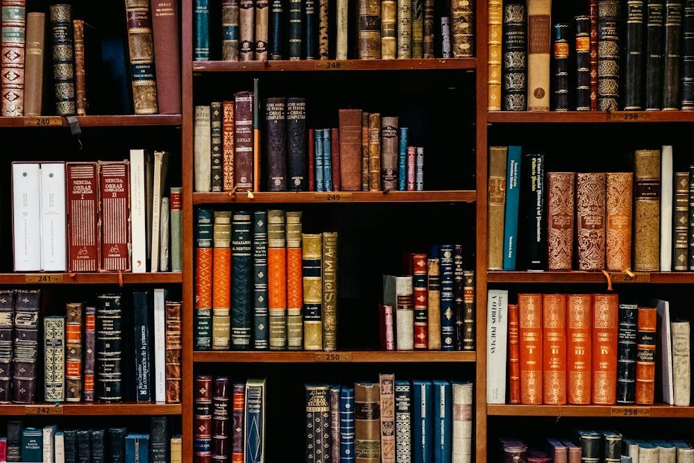 Institutional Library Reading Area